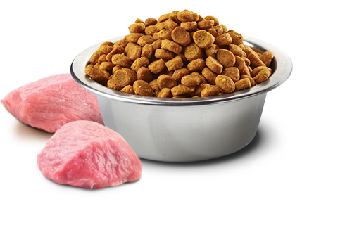 Farmina - N&D Pumpkin - Chicken, Pomegranate & Pumpkin Medium & Maxi (Dry Dog Food)